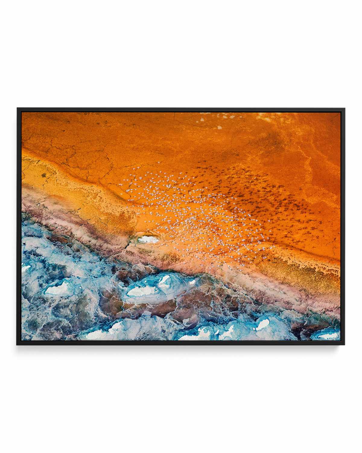 Golden Land by Phillip Chang | Framed Canvas Art Print