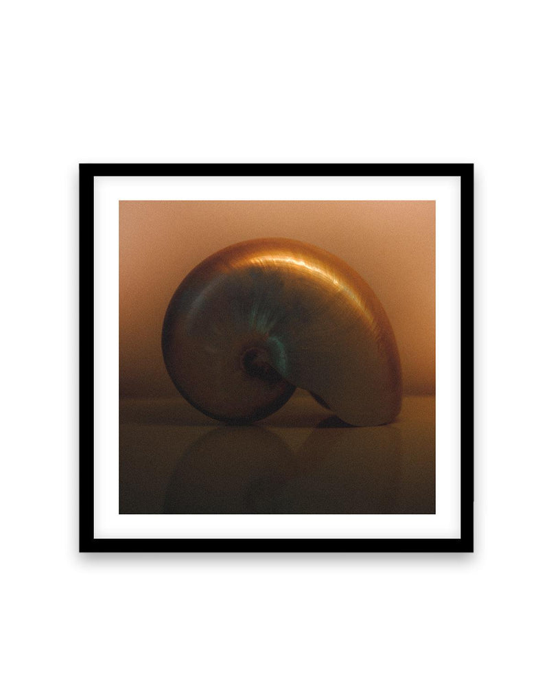 Golden by Mario Stefanelli Art Print-PRINT-Olive et Oriel-Mario Stefanelli-70x70 cm | 27.5" x 27.5"-Black-With White Border-Buy-Australian-Art-Prints-Online-with-Olive-et-Oriel-Your-Artwork-Specialists-Austrailia-Decorate-With-Coastal-Photo-Wall-Art-Prints-From-Our-Beach-House-Artwork-Collection-Fine-Poster-and-Framed-Artwork