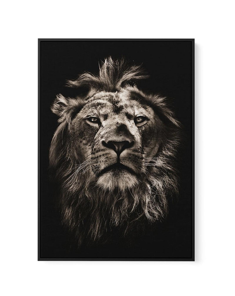 Golden Lion | Framed Canvas-CANVAS-You can shop wall art online with Olive et Oriel for everything from abstract art to fun kids wall art. Our beautiful modern art prints and canvas art are available from large canvas prints to wall art paintings and our proudly Australian artwork collection offers only the highest quality framed large wall art and canvas art Australia - You can buy fashion photography prints or Hampton print posters and paintings on canvas from Olive et Oriel and have them deli