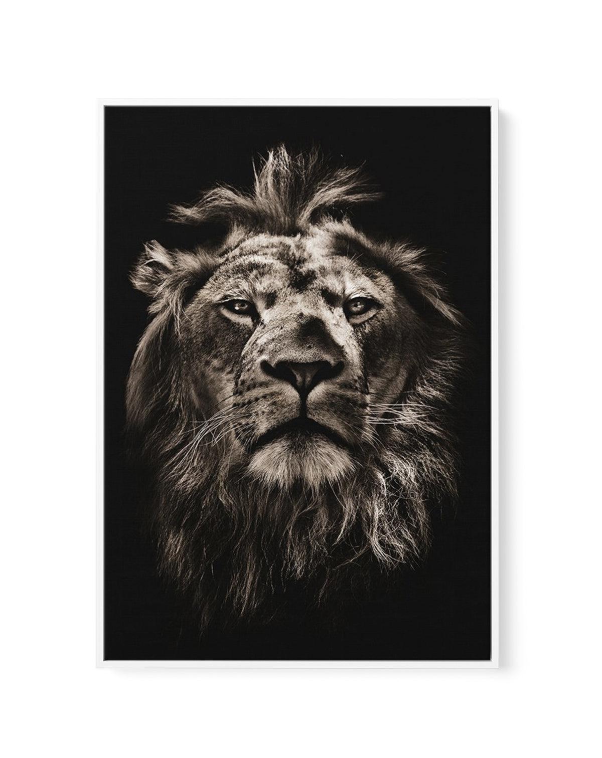 Golden Lion | Framed Canvas-CANVAS-You can shop wall art online with Olive et Oriel for everything from abstract art to fun kids wall art. Our beautiful modern art prints and canvas art are available from large canvas prints to wall art paintings and our proudly Australian artwork collection offers only the highest quality framed large wall art and canvas art Australia - You can buy fashion photography prints or Hampton print posters and paintings on canvas from Olive et Oriel and have them deli