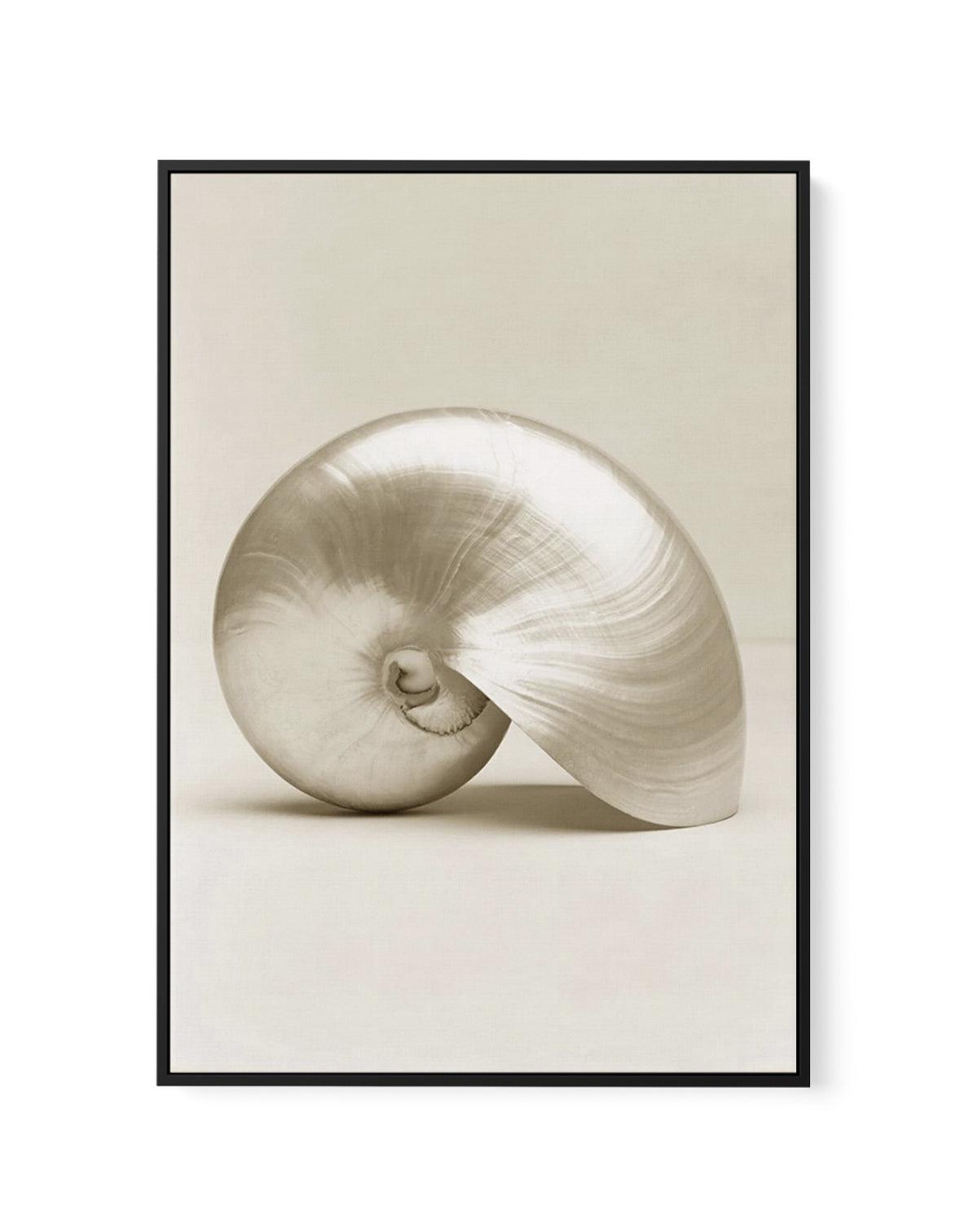 Golden Nautilus | Framed Canvas-CANVAS-You can shop wall art online with Olive et Oriel for everything from abstract art to fun kids wall art. Our beautiful modern art prints and canvas art are available from large canvas prints to wall art paintings and our proudly Australian artwork collection offers only the highest quality framed large wall art and canvas art Australia - You can buy fashion photography prints or Hampton print posters and paintings on canvas from Olive et Oriel and have them 