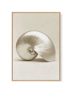 Golden Nautilus | Framed Canvas-CANVAS-You can shop wall art online with Olive et Oriel for everything from abstract art to fun kids wall art. Our beautiful modern art prints and canvas art are available from large canvas prints to wall art paintings and our proudly Australian artwork collection offers only the highest quality framed large wall art and canvas art Australia - You can buy fashion photography prints or Hampton print posters and paintings on canvas from Olive et Oriel and have them 
