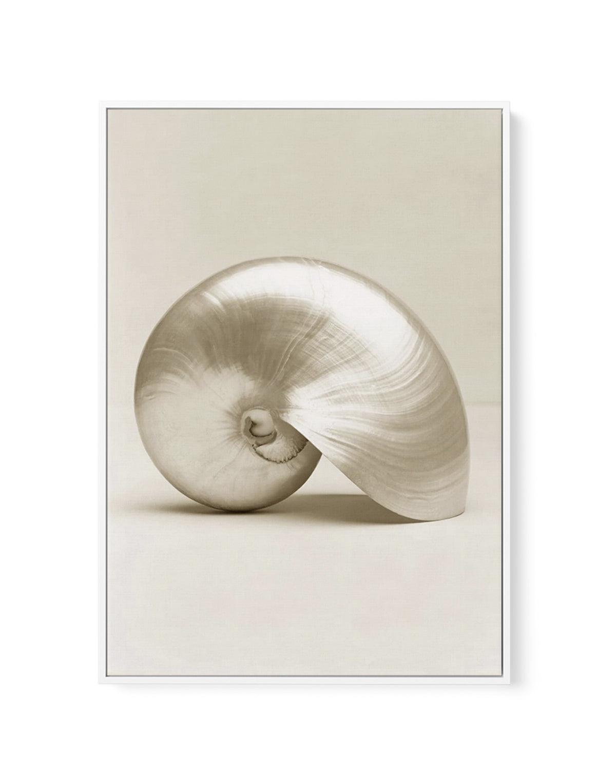 Golden Nautilus | Framed Canvas-CANVAS-You can shop wall art online with Olive et Oriel for everything from abstract art to fun kids wall art. Our beautiful modern art prints and canvas art are available from large canvas prints to wall art paintings and our proudly Australian artwork collection offers only the highest quality framed large wall art and canvas art Australia - You can buy fashion photography prints or Hampton print posters and paintings on canvas from Olive et Oriel and have them 