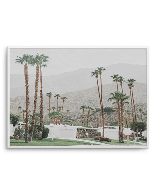Grass Is Greener | Palm Springs | LS Art Print-PRINT-Olive et Oriel-Olive et Oriel-A4 | 8.3" x 11.7" | 21 x 29.7cm-Unframed Art Print-With White Border-Buy-Australian-Art-Prints-Online-with-Olive-et-Oriel-Your-Artwork-Specialists-Austrailia-Decorate-With-Coastal-Photo-Wall-Art-Prints-From-Our-Beach-House-Artwork-Collection-Fine-Poster-and-Framed-Artwork