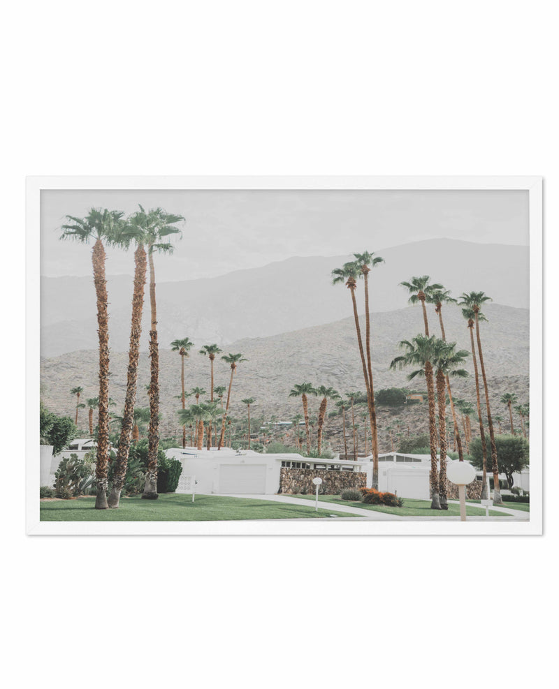 Grass Is Greener | Palm Springs | LS Art Print-PRINT-Olive et Oriel-Olive et Oriel-A4 | 8.3" x 11.7" | 21 x 29.7cm-White-With White Border-Buy-Australian-Art-Prints-Online-with-Olive-et-Oriel-Your-Artwork-Specialists-Austrailia-Decorate-With-Coastal-Photo-Wall-Art-Prints-From-Our-Beach-House-Artwork-Collection-Fine-Poster-and-Framed-Artwork