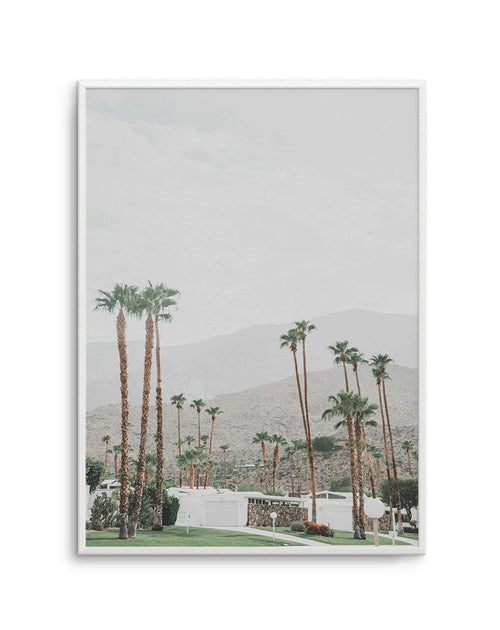 Grass Is Greener | Palm Springs | PT Art Print-PRINT-Olive et Oriel-Olive et Oriel-A4 | 8.3" x 11.7" | 21 x 29.7cm-Unframed Art Print-With White Border-Buy-Australian-Art-Prints-Online-with-Olive-et-Oriel-Your-Artwork-Specialists-Austrailia-Decorate-With-Coastal-Photo-Wall-Art-Prints-From-Our-Beach-House-Artwork-Collection-Fine-Poster-and-Framed-Artwork