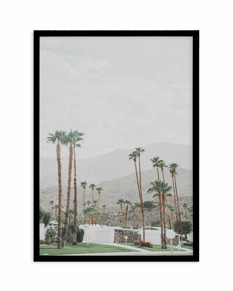 Grass Is Greener | Palm Springs | PT Art Print-PRINT-Olive et Oriel-Olive et Oriel-A4 | 8.3" x 11.7" | 21 x 29.7cm-Black-With White Border-Buy-Australian-Art-Prints-Online-with-Olive-et-Oriel-Your-Artwork-Specialists-Austrailia-Decorate-With-Coastal-Photo-Wall-Art-Prints-From-Our-Beach-House-Artwork-Collection-Fine-Poster-and-Framed-Artwork