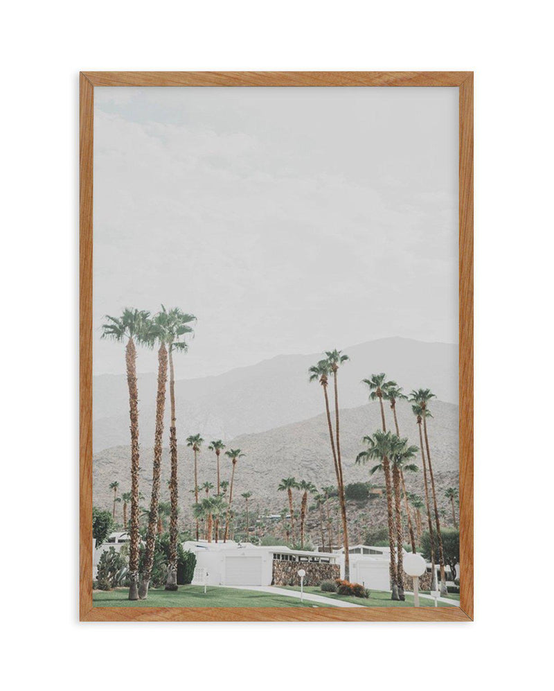 Grass Is Greener | Palm Springs | PT Art Print-PRINT-Olive et Oriel-Olive et Oriel-50x70 cm | 19.6" x 27.5"-Walnut-With White Border-Buy-Australian-Art-Prints-Online-with-Olive-et-Oriel-Your-Artwork-Specialists-Austrailia-Decorate-With-Coastal-Photo-Wall-Art-Prints-From-Our-Beach-House-Artwork-Collection-Fine-Poster-and-Framed-Artwork