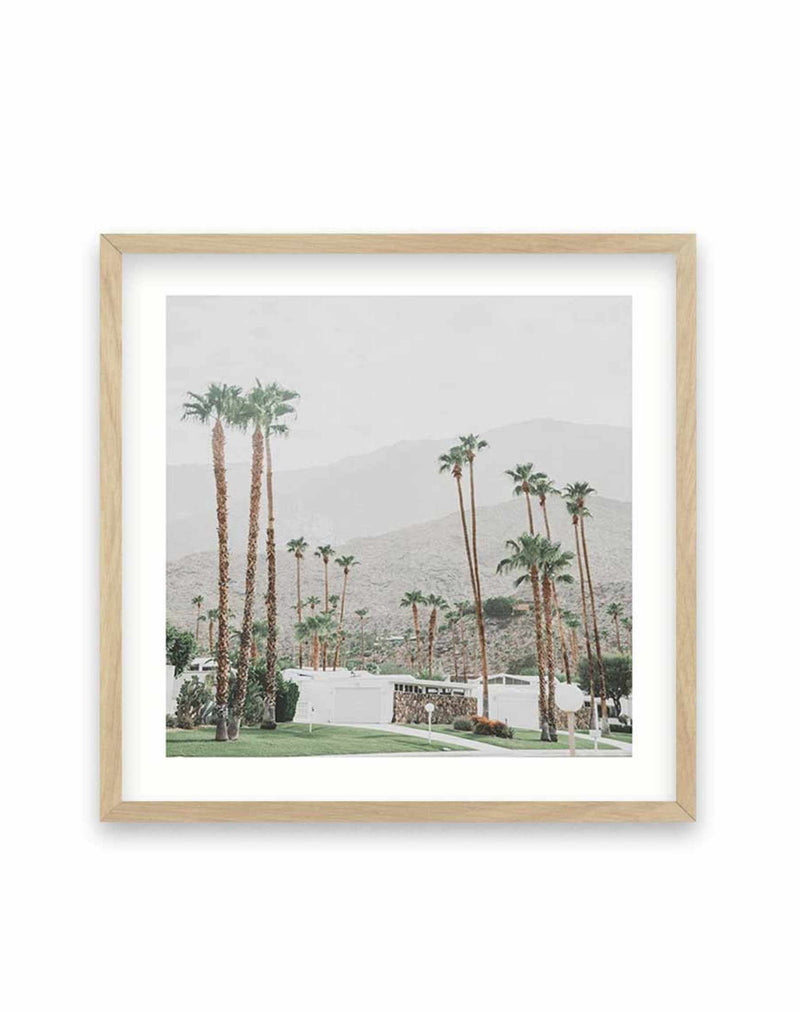 Grass Is Greener | Palm Springs SQ Art Print-PRINT-Olive et Oriel-Olive et Oriel-70x70 cm | 27.5" x 27.5"-Oak-With White Border-Buy-Australian-Art-Prints-Online-with-Olive-et-Oriel-Your-Artwork-Specialists-Austrailia-Decorate-With-Coastal-Photo-Wall-Art-Prints-From-Our-Beach-House-Artwork-Collection-Fine-Poster-and-Framed-Artwork