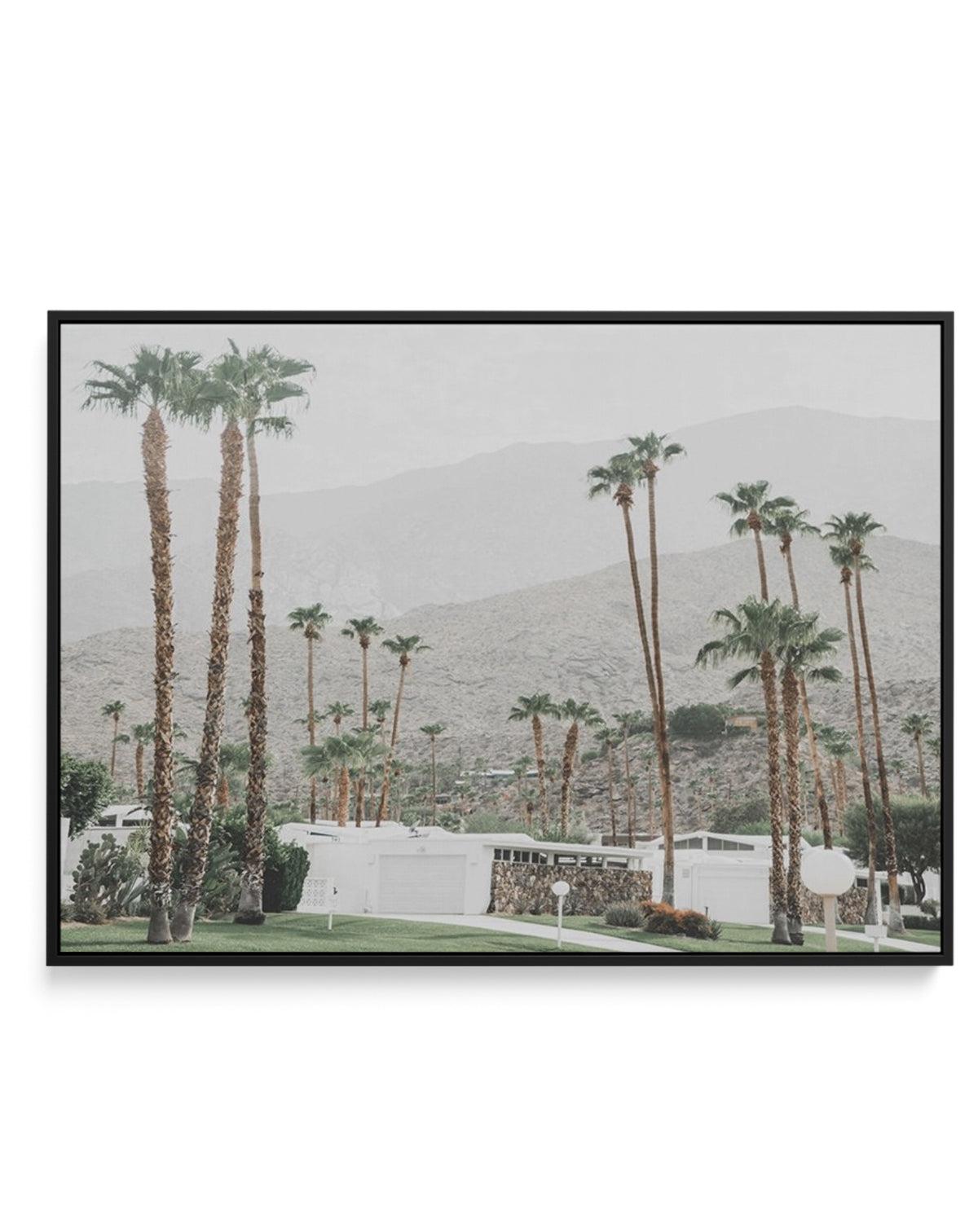 Grass Is Greener | Palm Springs | LS | Framed Canvas-CANVAS-You can shop wall art online with Olive et Oriel for everything from abstract art to fun kids wall art. Our beautiful modern art prints and canvas art are available from large canvas prints to wall art paintings and our proudly Australian artwork collection offers only the highest quality framed large wall art and canvas art Australia - You can buy fashion photography prints or Hampton print posters and paintings on canvas from Olive et