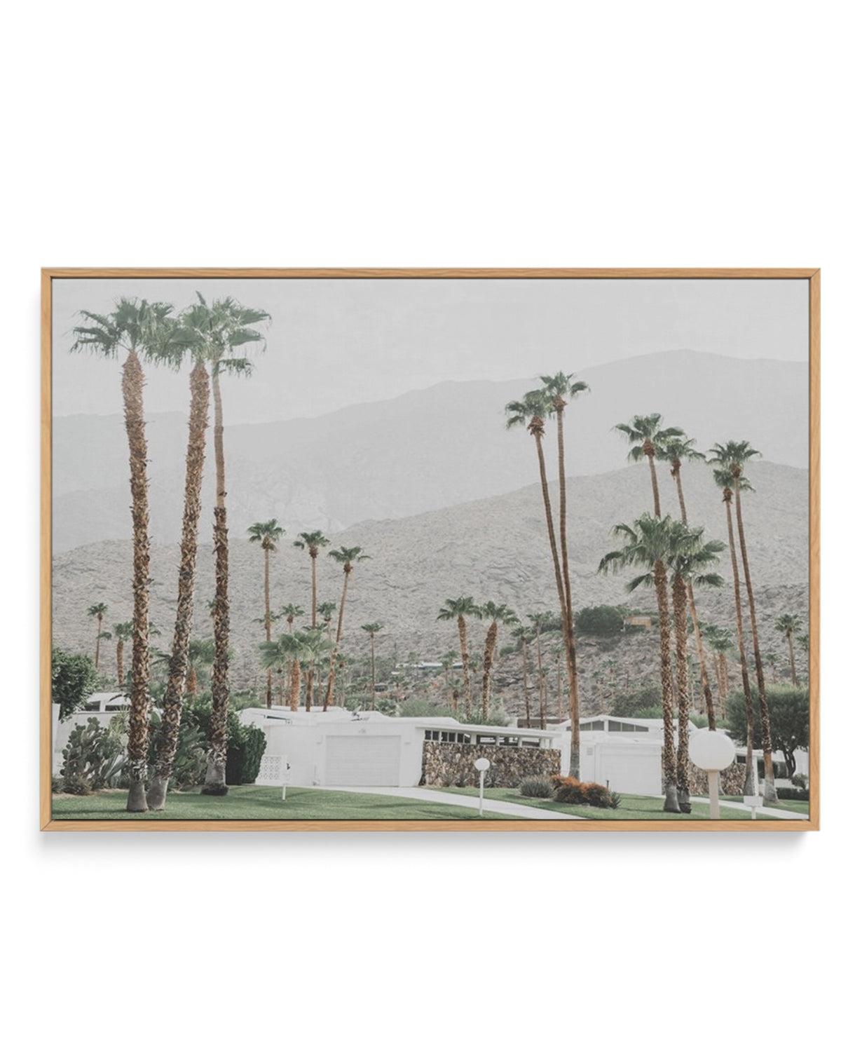 Grass Is Greener | Palm Springs | LS | Framed Canvas-CANVAS-You can shop wall art online with Olive et Oriel for everything from abstract art to fun kids wall art. Our beautiful modern art prints and canvas art are available from large canvas prints to wall art paintings and our proudly Australian artwork collection offers only the highest quality framed large wall art and canvas art Australia - You can buy fashion photography prints or Hampton print posters and paintings on canvas from Olive et