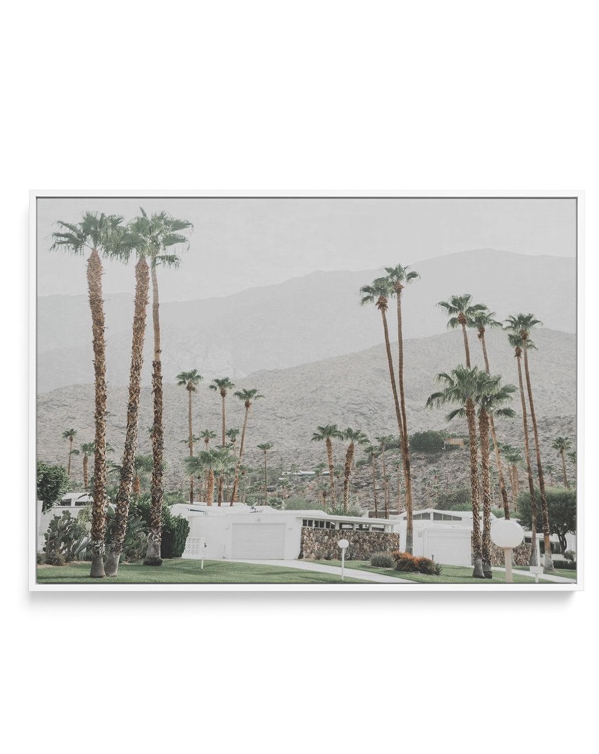 Grass Is Greener | Palm Springs | LS | Framed Canvas-CANVAS-You can shop wall art online with Olive et Oriel for everything from abstract art to fun kids wall art. Our beautiful modern art prints and canvas art are available from large canvas prints to wall art paintings and our proudly Australian artwork collection offers only the highest quality framed large wall art and canvas art Australia - You can buy fashion photography prints or Hampton print posters and paintings on canvas from Olive et