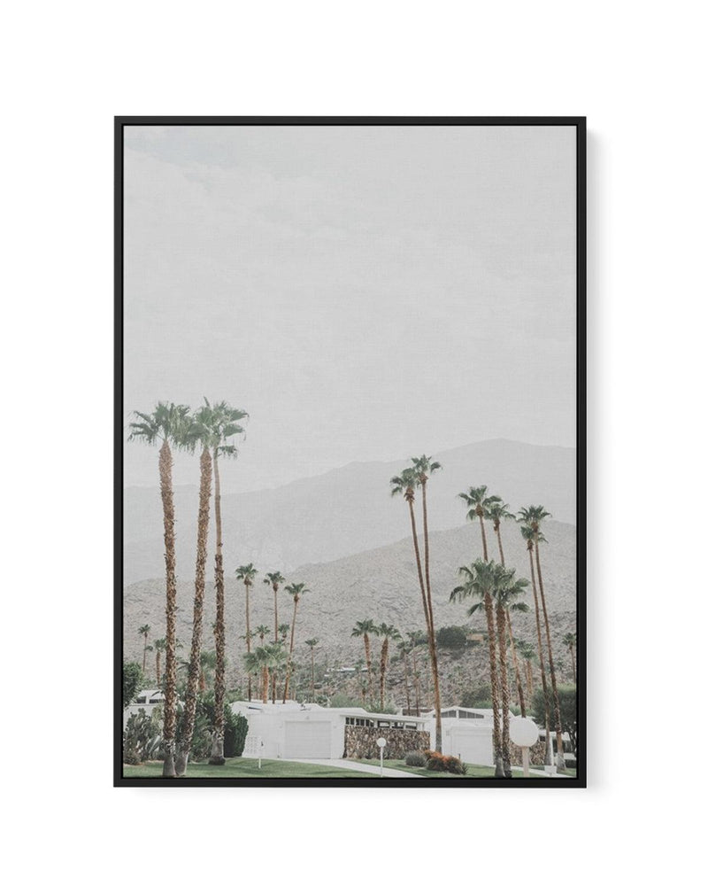 Grass Is Greener | Palm Springs | PT | Framed Canvas-CANVAS-You can shop wall art online with Olive et Oriel for everything from abstract art to fun kids wall art. Our beautiful modern art prints and canvas art are available from large canvas prints to wall art paintings and our proudly Australian artwork collection offers only the highest quality framed large wall art and canvas art Australia - You can buy fashion photography prints or Hampton print posters and paintings on canvas from Olive et