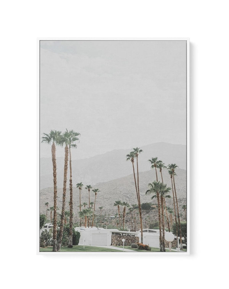 Grass Is Greener | Palm Springs | PT | Framed Canvas-CANVAS-You can shop wall art online with Olive et Oriel for everything from abstract art to fun kids wall art. Our beautiful modern art prints and canvas art are available from large canvas prints to wall art paintings and our proudly Australian artwork collection offers only the highest quality framed large wall art and canvas art Australia - You can buy fashion photography prints or Hampton print posters and paintings on canvas from Olive et