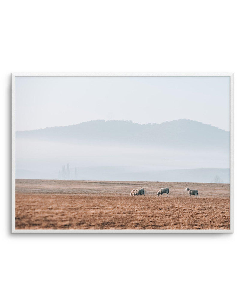 Grazing Lands Art Print-PRINT-Olive et Oriel-Olive et Oriel-A3 | 11.7" x 16.5" | 29.7 x 42 cm-Unframed Art Print-With White Border-Buy-Australian-Art-Prints-Online-with-Olive-et-Oriel-Your-Artwork-Specialists-Austrailia-Decorate-With-Coastal-Photo-Wall-Art-Prints-From-Our-Beach-House-Artwork-Collection-Fine-Poster-and-Framed-Artwork
