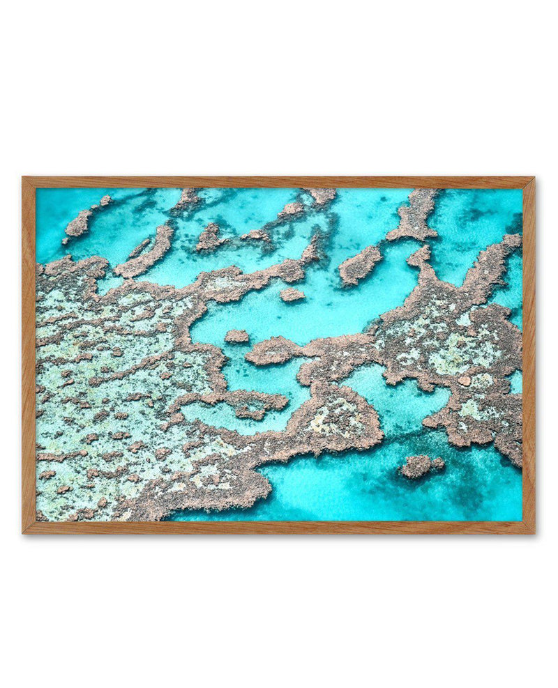 Great Barrier Reef I Art Print-PRINT-Olive et Oriel-Olive et Oriel-50x70 cm | 19.6" x 27.5"-Walnut-With White Border-Buy-Australian-Art-Prints-Online-with-Olive-et-Oriel-Your-Artwork-Specialists-Austrailia-Decorate-With-Coastal-Photo-Wall-Art-Prints-From-Our-Beach-House-Artwork-Collection-Fine-Poster-and-Framed-Artwork