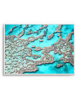 Great Barrier Reef I Art Print-PRINT-Olive et Oriel-Olive et Oriel-A4 | 8.3" x 11.7" | 21 x 29.7cm-Unframed Art Print-With White Border-Buy-Australian-Art-Prints-Online-with-Olive-et-Oriel-Your-Artwork-Specialists-Austrailia-Decorate-With-Coastal-Photo-Wall-Art-Prints-From-Our-Beach-House-Artwork-Collection-Fine-Poster-and-Framed-Artwork