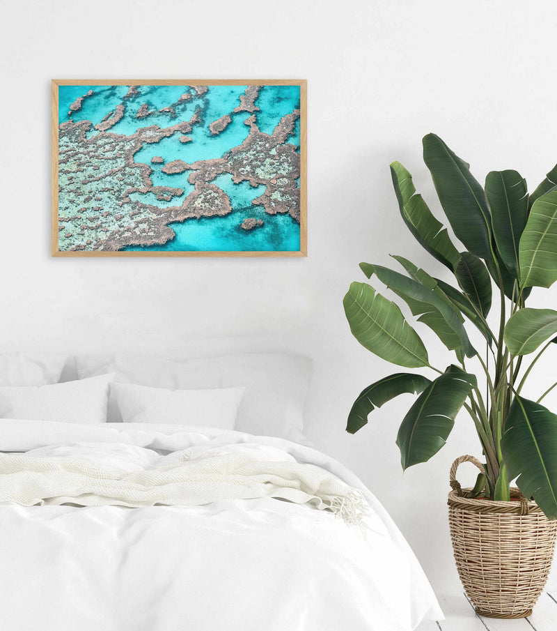Great Barrier Reef I Art Print-PRINT-Olive et Oriel-Olive et Oriel-Buy-Australian-Art-Prints-Online-with-Olive-et-Oriel-Your-Artwork-Specialists-Austrailia-Decorate-With-Coastal-Photo-Wall-Art-Prints-From-Our-Beach-House-Artwork-Collection-Fine-Poster-and-Framed-Artwork