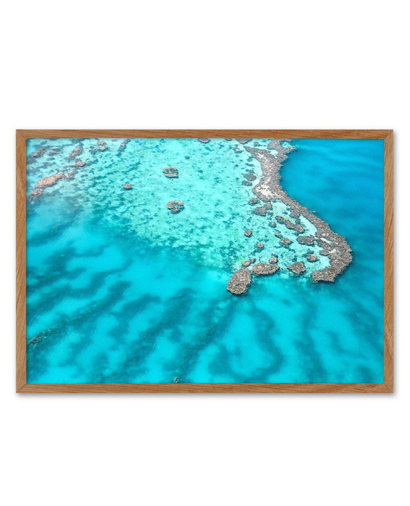 Great Barrier Reef II Art Print-PRINT-Olive et Oriel-Olive et Oriel-50x70 cm | 19.6" x 27.5"-Walnut-With White Border-Buy-Australian-Art-Prints-Online-with-Olive-et-Oriel-Your-Artwork-Specialists-Austrailia-Decorate-With-Coastal-Photo-Wall-Art-Prints-From-Our-Beach-House-Artwork-Collection-Fine-Poster-and-Framed-Artwork