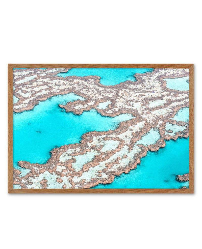 Great Barrier Reef III Art Print-PRINT-Olive et Oriel-Olive et Oriel-50x70 cm | 19.6" x 27.5"-Walnut-With White Border-Buy-Australian-Art-Prints-Online-with-Olive-et-Oriel-Your-Artwork-Specialists-Austrailia-Decorate-With-Coastal-Photo-Wall-Art-Prints-From-Our-Beach-House-Artwork-Collection-Fine-Poster-and-Framed-Artwork