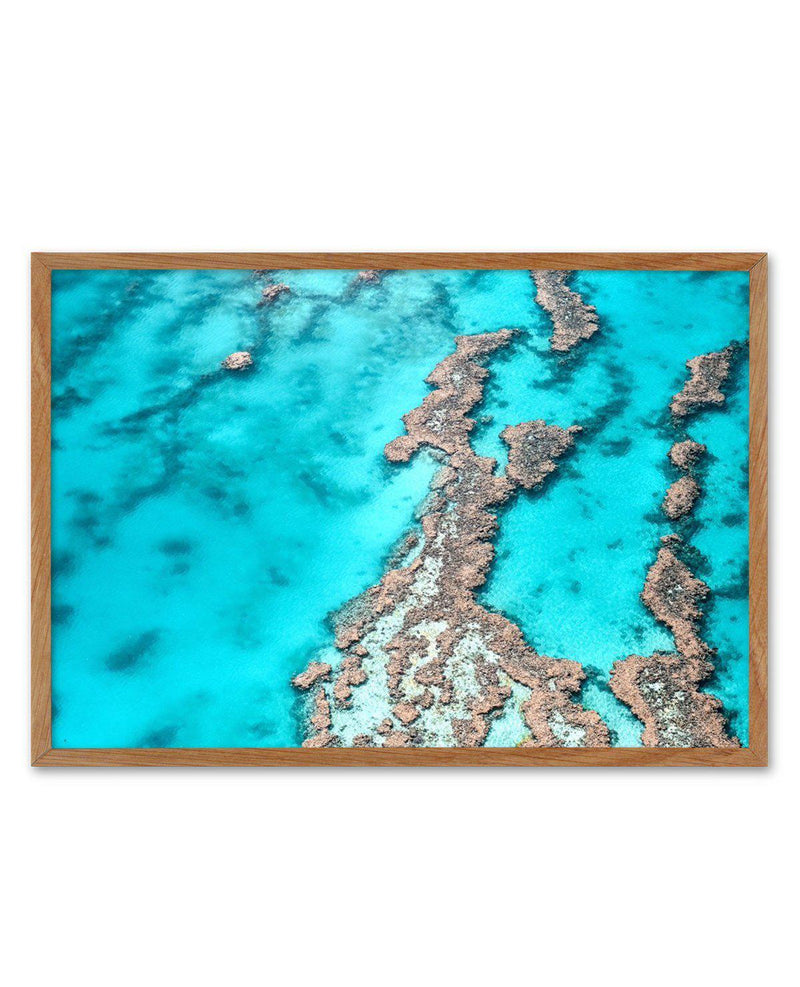 Great Barrier Reef IV Art Print-PRINT-Olive et Oriel-Olive et Oriel-50x70 cm | 19.6" x 27.5"-Walnut-With White Border-Buy-Australian-Art-Prints-Online-with-Olive-et-Oriel-Your-Artwork-Specialists-Austrailia-Decorate-With-Coastal-Photo-Wall-Art-Prints-From-Our-Beach-House-Artwork-Collection-Fine-Poster-and-Framed-Artwork