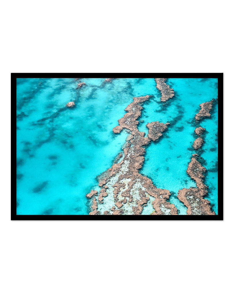 Great Barrier Reef IV Art Print-PRINT-Olive et Oriel-Olive et Oriel-A4 | 8.3" x 11.7" | 21 x 29.7cm-Black-With White Border-Buy-Australian-Art-Prints-Online-with-Olive-et-Oriel-Your-Artwork-Specialists-Austrailia-Decorate-With-Coastal-Photo-Wall-Art-Prints-From-Our-Beach-House-Artwork-Collection-Fine-Poster-and-Framed-Artwork