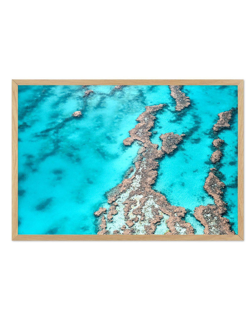 Great Barrier Reef IV Art Print-PRINT-Olive et Oriel-Olive et Oriel-A4 | 8.3" x 11.7" | 21 x 29.7cm-Oak-With White Border-Buy-Australian-Art-Prints-Online-with-Olive-et-Oriel-Your-Artwork-Specialists-Austrailia-Decorate-With-Coastal-Photo-Wall-Art-Prints-From-Our-Beach-House-Artwork-Collection-Fine-Poster-and-Framed-Artwork