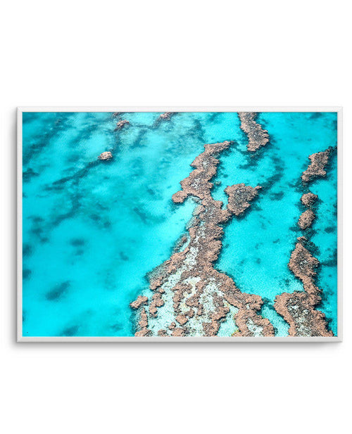 Great Barrier Reef IV Art Print-PRINT-Olive et Oriel-Olive et Oriel-A4 | 8.3" x 11.7" | 21 x 29.7cm-Unframed Art Print-With White Border-Buy-Australian-Art-Prints-Online-with-Olive-et-Oriel-Your-Artwork-Specialists-Austrailia-Decorate-With-Coastal-Photo-Wall-Art-Prints-From-Our-Beach-House-Artwork-Collection-Fine-Poster-and-Framed-Artwork