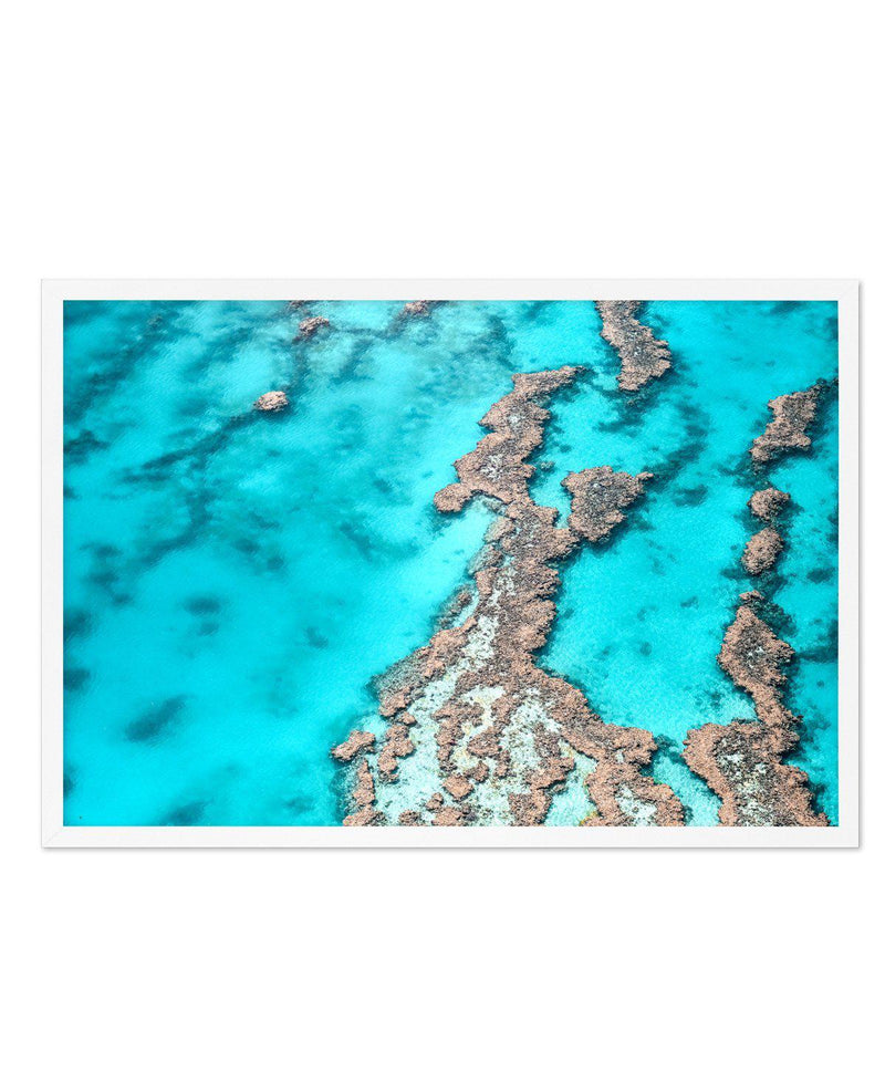 Great Barrier Reef IV Art Print-PRINT-Olive et Oriel-Olive et Oriel-A4 | 8.3" x 11.7" | 21 x 29.7cm-White-With White Border-Buy-Australian-Art-Prints-Online-with-Olive-et-Oriel-Your-Artwork-Specialists-Austrailia-Decorate-With-Coastal-Photo-Wall-Art-Prints-From-Our-Beach-House-Artwork-Collection-Fine-Poster-and-Framed-Artwork
