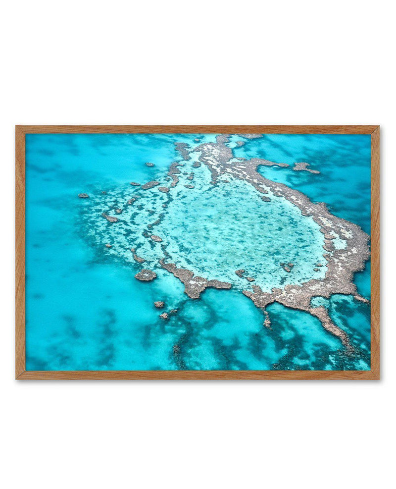 Great Barrier Reef V Art Print-PRINT-Olive et Oriel-Olive et Oriel-50x70 cm | 19.6" x 27.5"-Walnut-With White Border-Buy-Australian-Art-Prints-Online-with-Olive-et-Oriel-Your-Artwork-Specialists-Austrailia-Decorate-With-Coastal-Photo-Wall-Art-Prints-From-Our-Beach-House-Artwork-Collection-Fine-Poster-and-Framed-Artwork