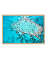 Great Barrier Reef V Art Print-PRINT-Olive et Oriel-Olive et Oriel-A4 | 8.3" x 11.7" | 21 x 29.7cm-Oak-With White Border-Buy-Australian-Art-Prints-Online-with-Olive-et-Oriel-Your-Artwork-Specialists-Austrailia-Decorate-With-Coastal-Photo-Wall-Art-Prints-From-Our-Beach-House-Artwork-Collection-Fine-Poster-and-Framed-Artwork
