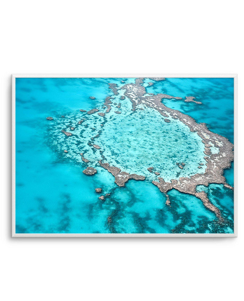Great Barrier Reef V Art Print-PRINT-Olive et Oriel-Olive et Oriel-A4 | 8.3" x 11.7" | 21 x 29.7cm-Unframed Art Print-With White Border-Buy-Australian-Art-Prints-Online-with-Olive-et-Oriel-Your-Artwork-Specialists-Austrailia-Decorate-With-Coastal-Photo-Wall-Art-Prints-From-Our-Beach-House-Artwork-Collection-Fine-Poster-and-Framed-Artwork