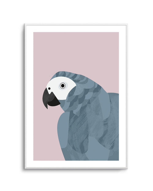 Grey Macaw by Dan Hobday Art Print-PRINT-Olive et Oriel-Dan Hobday-A5 | 5.8" x 8.3" | 14.8 x 21cm-Unframed Art Print-With White Border-Buy-Australian-Art-Prints-Online-with-Olive-et-Oriel-Your-Artwork-Specialists-Austrailia-Decorate-With-Coastal-Photo-Wall-Art-Prints-From-Our-Beach-House-Artwork-Collection-Fine-Poster-and-Framed-Artwork