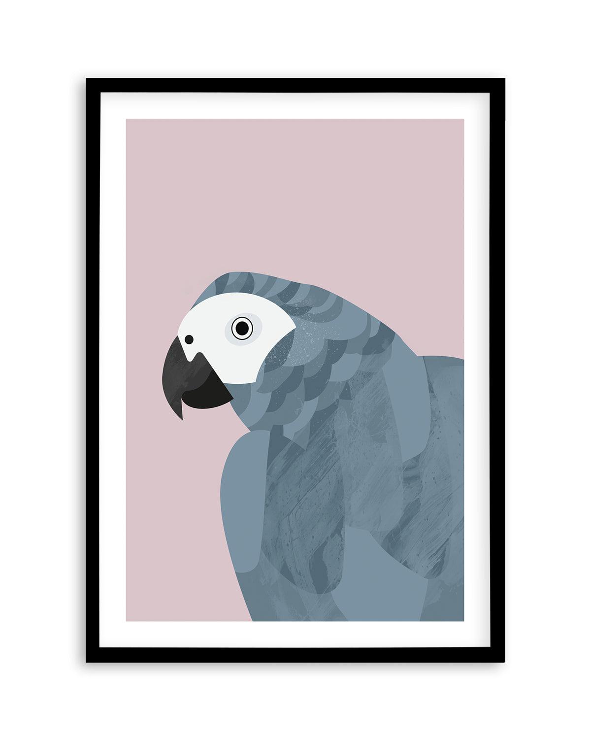 Grey Macaw by Dan Hobday Art Print-PRINT-Olive et Oriel-Dan Hobday-A5 | 5.8" x 8.3" | 14.8 x 21cm-Black-With White Border-Buy-Australian-Art-Prints-Online-with-Olive-et-Oriel-Your-Artwork-Specialists-Austrailia-Decorate-With-Coastal-Photo-Wall-Art-Prints-From-Our-Beach-House-Artwork-Collection-Fine-Poster-and-Framed-Artwork