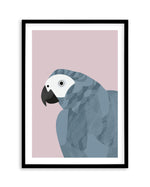 Grey Macaw by Dan Hobday Art Print-PRINT-Olive et Oriel-Dan Hobday-A5 | 5.8" x 8.3" | 14.8 x 21cm-Black-With White Border-Buy-Australian-Art-Prints-Online-with-Olive-et-Oriel-Your-Artwork-Specialists-Austrailia-Decorate-With-Coastal-Photo-Wall-Art-Prints-From-Our-Beach-House-Artwork-Collection-Fine-Poster-and-Framed-Artwork