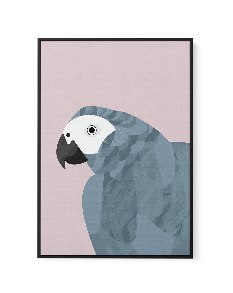 Grey Macaw by Dan Hobday | Framed Canvas-CANVAS-You can shop wall art online with Olive et Oriel for everything from abstract art to fun kids wall art. Our beautiful modern art prints and canvas art are available from large canvas prints to wall art paintings and our proudly Australian artwork collection offers only the highest quality framed large wall art and canvas art Australia - You can buy fashion photography prints or Hampton print posters and paintings on canvas from Olive et Oriel and h