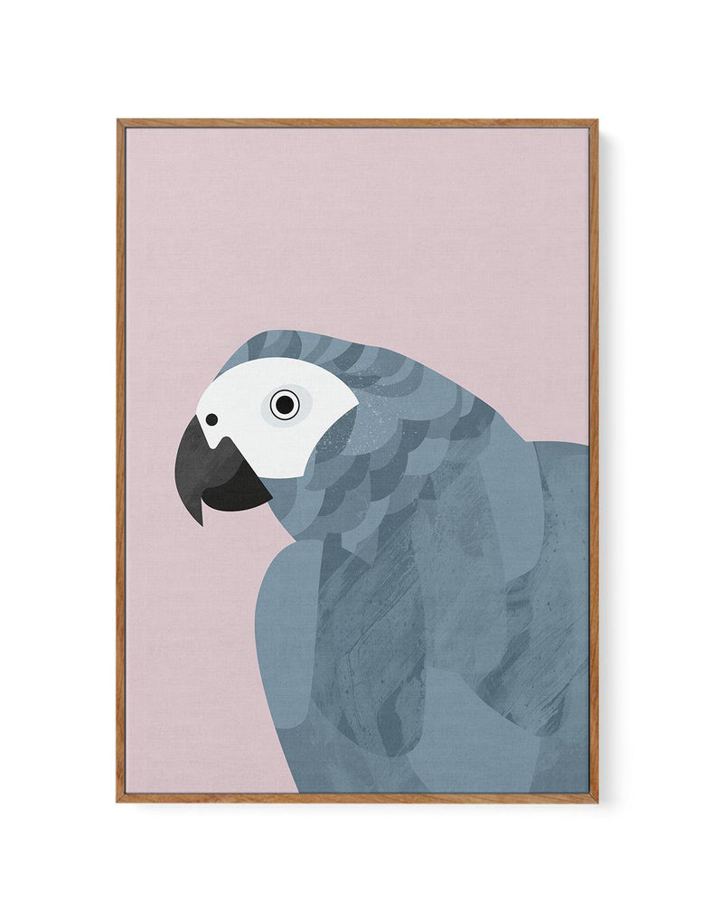 Grey Macaw by Dan Hobday | Framed Canvas-CANVAS-You can shop wall art online with Olive et Oriel for everything from abstract art to fun kids wall art. Our beautiful modern art prints and canvas art are available from large canvas prints to wall art paintings and our proudly Australian artwork collection offers only the highest quality framed large wall art and canvas art Australia - You can buy fashion photography prints or Hampton print posters and paintings on canvas from Olive et Oriel and h
