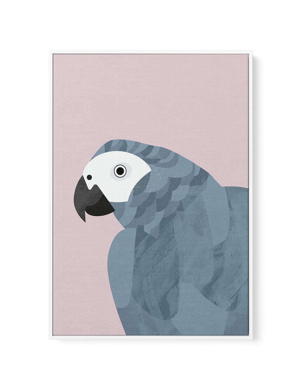 Grey Macaw by Dan Hobday | Framed Canvas-CANVAS-You can shop wall art online with Olive et Oriel for everything from abstract art to fun kids wall art. Our beautiful modern art prints and canvas art are available from large canvas prints to wall art paintings and our proudly Australian artwork collection offers only the highest quality framed large wall art and canvas art Australia - You can buy fashion photography prints or Hampton print posters and paintings on canvas from Olive et Oriel and h