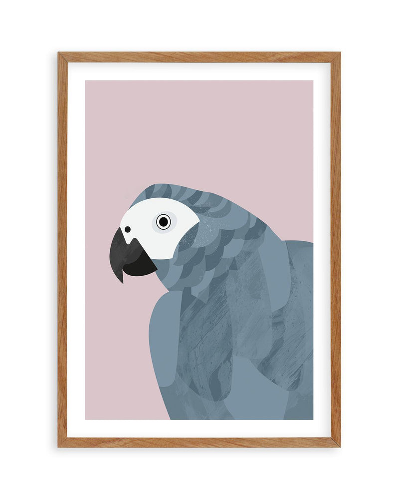 Grey Macaw by Dan Hobday Art Print-PRINT-Olive et Oriel-Dan Hobday-50x70 cm | 19.6" x 27.5"-Walnut-With White Border-Buy-Australian-Art-Prints-Online-with-Olive-et-Oriel-Your-Artwork-Specialists-Austrailia-Decorate-With-Coastal-Photo-Wall-Art-Prints-From-Our-Beach-House-Artwork-Collection-Fine-Poster-and-Framed-Artwork