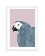 Grey Macaw by Dan Hobday Art Print-PRINT-Olive et Oriel-Dan Hobday-A5 | 5.8" x 8.3" | 14.8 x 21cm-White-With White Border-Buy-Australian-Art-Prints-Online-with-Olive-et-Oriel-Your-Artwork-Specialists-Austrailia-Decorate-With-Coastal-Photo-Wall-Art-Prints-From-Our-Beach-House-Artwork-Collection-Fine-Poster-and-Framed-Artwork