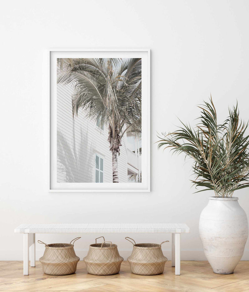 Hamptons Palm Art Print-PRINT-Olive et Oriel-Olive et Oriel-Buy-Australian-Art-Prints-Online-with-Olive-et-Oriel-Your-Artwork-Specialists-Austrailia-Decorate-With-Coastal-Photo-Wall-Art-Prints-From-Our-Beach-House-Artwork-Collection-Fine-Poster-and-Framed-Artwork