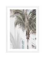 Hamptons Palm Art Print-PRINT-Olive et Oriel-Olive et Oriel-A4 | 8.3" x 11.7" | 21 x 29.7cm-White-With White Border-Buy-Australian-Art-Prints-Online-with-Olive-et-Oriel-Your-Artwork-Specialists-Austrailia-Decorate-With-Coastal-Photo-Wall-Art-Prints-From-Our-Beach-House-Artwork-Collection-Fine-Poster-and-Framed-Artwork