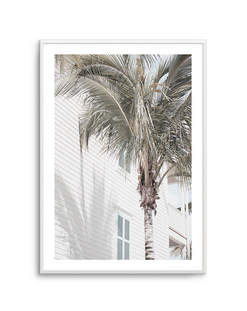 Hamptons Palm Art Print-PRINT-Olive et Oriel-Olive et Oriel-A4 | 8.3" x 11.7" | 21 x 29.7cm-Unframed Art Print-With White Border-Buy-Australian-Art-Prints-Online-with-Olive-et-Oriel-Your-Artwork-Specialists-Austrailia-Decorate-With-Coastal-Photo-Wall-Art-Prints-From-Our-Beach-House-Artwork-Collection-Fine-Poster-and-Framed-Artwork