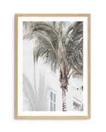 Hamptons Palm Art Print-PRINT-Olive et Oriel-Olive et Oriel-A4 | 8.3" x 11.7" | 21 x 29.7cm-Oak-With White Border-Buy-Australian-Art-Prints-Online-with-Olive-et-Oriel-Your-Artwork-Specialists-Austrailia-Decorate-With-Coastal-Photo-Wall-Art-Prints-From-Our-Beach-House-Artwork-Collection-Fine-Poster-and-Framed-Artwork
