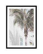 Hamptons Palm Art Print-PRINT-Olive et Oriel-Olive et Oriel-A4 | 8.3" x 11.7" | 21 x 29.7cm-Black-With White Border-Buy-Australian-Art-Prints-Online-with-Olive-et-Oriel-Your-Artwork-Specialists-Austrailia-Decorate-With-Coastal-Photo-Wall-Art-Prints-From-Our-Beach-House-Artwork-Collection-Fine-Poster-and-Framed-Artwork