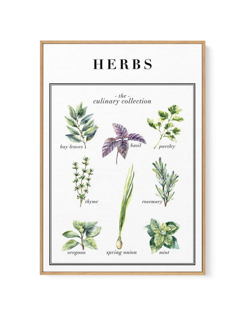 Herbs | Framed Canvas-CANVAS-You can shop wall art online with Olive et Oriel for everything from abstract art to fun kids wall art. Our beautiful modern art prints and canvas art are available from large canvas prints to wall art paintings and our proudly Australian artwork collection offers only the highest quality framed large wall art and canvas art Australia - You can buy fashion photography prints or Hampton print posters and paintings on canvas from Olive et Oriel and have them delivered 