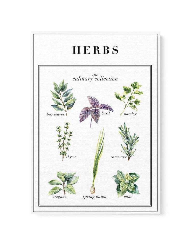 Herbs | Framed Canvas-CANVAS-You can shop wall art online with Olive et Oriel for everything from abstract art to fun kids wall art. Our beautiful modern art prints and canvas art are available from large canvas prints to wall art paintings and our proudly Australian artwork collection offers only the highest quality framed large wall art and canvas art Australia - You can buy fashion photography prints or Hampton print posters and paintings on canvas from Olive et Oriel and have them delivered 