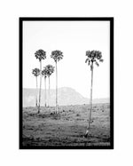 Island Luxe IV | The Lost Palms Art Print-PRINT-Olive et Oriel-Olive et Oriel-A4 | 8.3" x 11.7" | 21 x 29.7cm-Black-With White Border-Buy-Australian-Art-Prints-Online-with-Olive-et-Oriel-Your-Artwork-Specialists-Austrailia-Decorate-With-Coastal-Photo-Wall-Art-Prints-From-Our-Beach-House-Artwork-Collection-Fine-Poster-and-Framed-Artwork