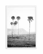 Island Luxe IV | The Lost Palms Art Print-PRINT-Olive et Oriel-Olive et Oriel-A4 | 8.3" x 11.7" | 21 x 29.7cm-White-With White Border-Buy-Australian-Art-Prints-Online-with-Olive-et-Oriel-Your-Artwork-Specialists-Austrailia-Decorate-With-Coastal-Photo-Wall-Art-Prints-From-Our-Beach-House-Artwork-Collection-Fine-Poster-and-Framed-Artwork