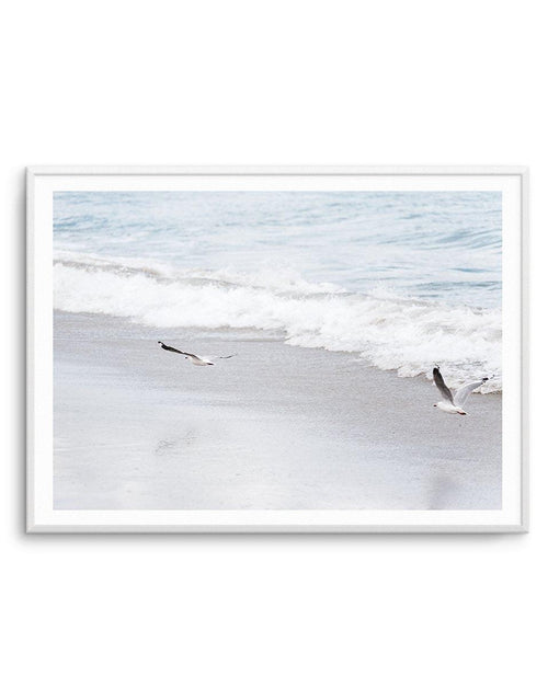 In Flight Art Print-PRINT-Olive et Oriel-Olive et Oriel-A4 | 8.3" x 11.7" | 21 x 29.7cm-Unframed Art Print-With White Border-Buy-Australian-Art-Prints-Online-with-Olive-et-Oriel-Your-Artwork-Specialists-Austrailia-Decorate-With-Coastal-Photo-Wall-Art-Prints-From-Our-Beach-House-Artwork-Collection-Fine-Poster-and-Framed-Artwork